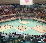 L'origine et la signification des démonstrations d'arts martiaux au Japon