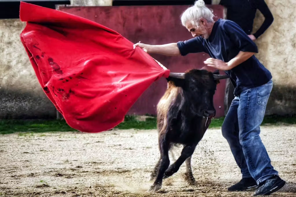bruno gonzalez tauromachie