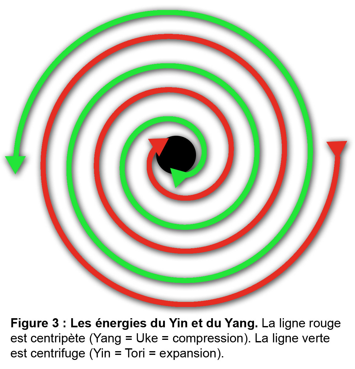 Yin et Yang en mouvement Figure 3