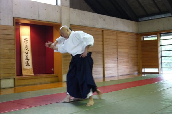 Osawa Sensei à Sengawa